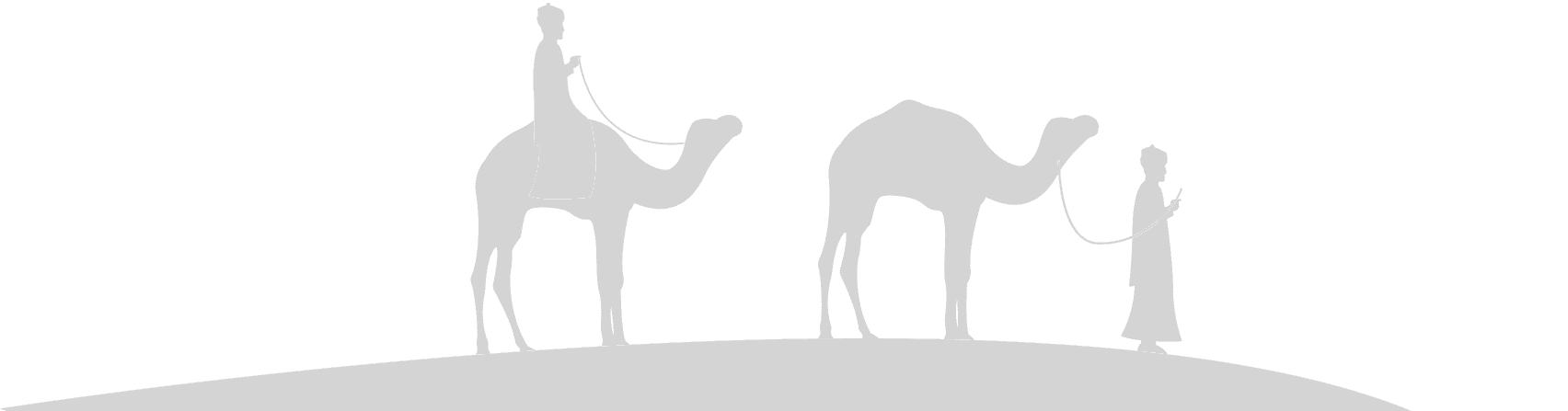 Rajasthan Landmark Silhouette