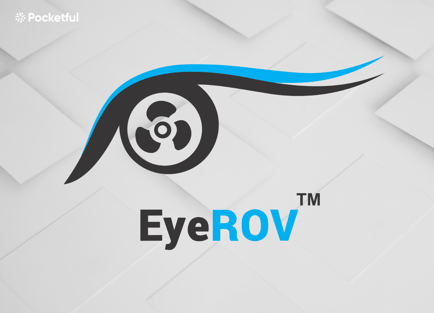 EyeROV Secures INR 10 Crore for Global Expansion and Marine Robotics