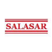 Salasar Techno Engineering Ltd logo