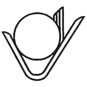 Vikalp Securities Ltd logo
