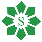 Sagar Cements Ltd logo