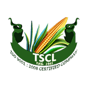 Twenty First Century Management Services Ltd