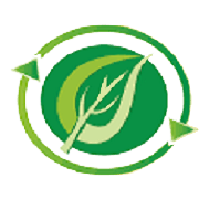 Twenty First Century Management Services Ltd