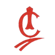 Indo-City Infotech Ltd logo