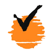 Virat Industries Ltd logo