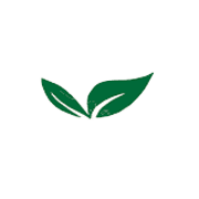 Twenty First Century Management Services Ltd