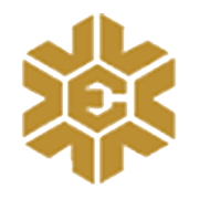 Twenty First Century Management Services Ltd