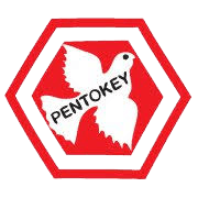 Pentokey Organy (India) Ltd logo